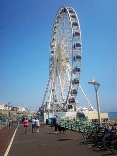 Brighton Wheel, 2012